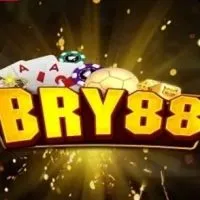 BRY88